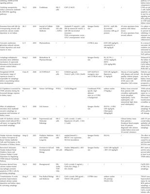 The role of autophagy in calcium oxalate kidney stone: A systematic review of the literature 